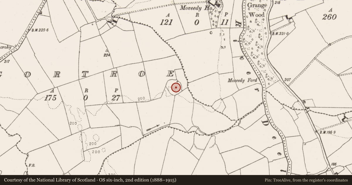 Ordnance Survey six-inch map, 2nd edition (1888–1915) covering the location of Ringfort - rath, Gortroe, County Limerick, with a pin at the register's coordinates