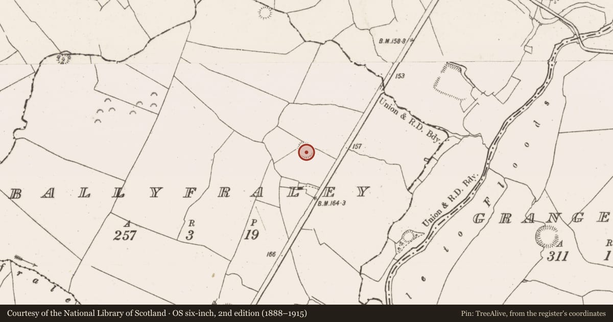 Ordnance Survey six-inch map, 2nd edition (1888–1915) covering the location of Ringfort - rath, Ballyfraley, County Limerick, with a pin at the register's coordinates