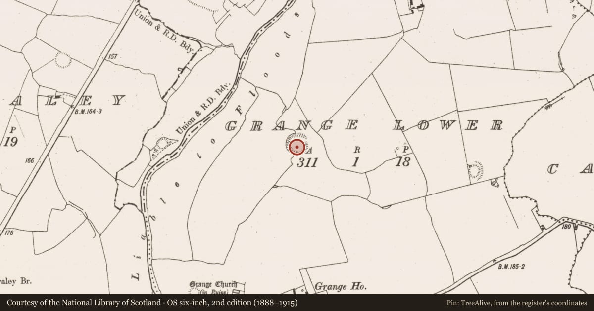 Ordnance Survey six-inch map, 2nd edition (1888–1915) covering the location of Ringfort - rath, Grange Lower, County Limerick, with a pin at the register's coordinates