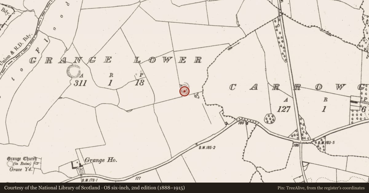 Ordnance Survey six-inch map, 2nd edition (1888–1915) covering the location of Ringfort - rath, Grange Lower, County Limerick, with a pin at the register's coordinates