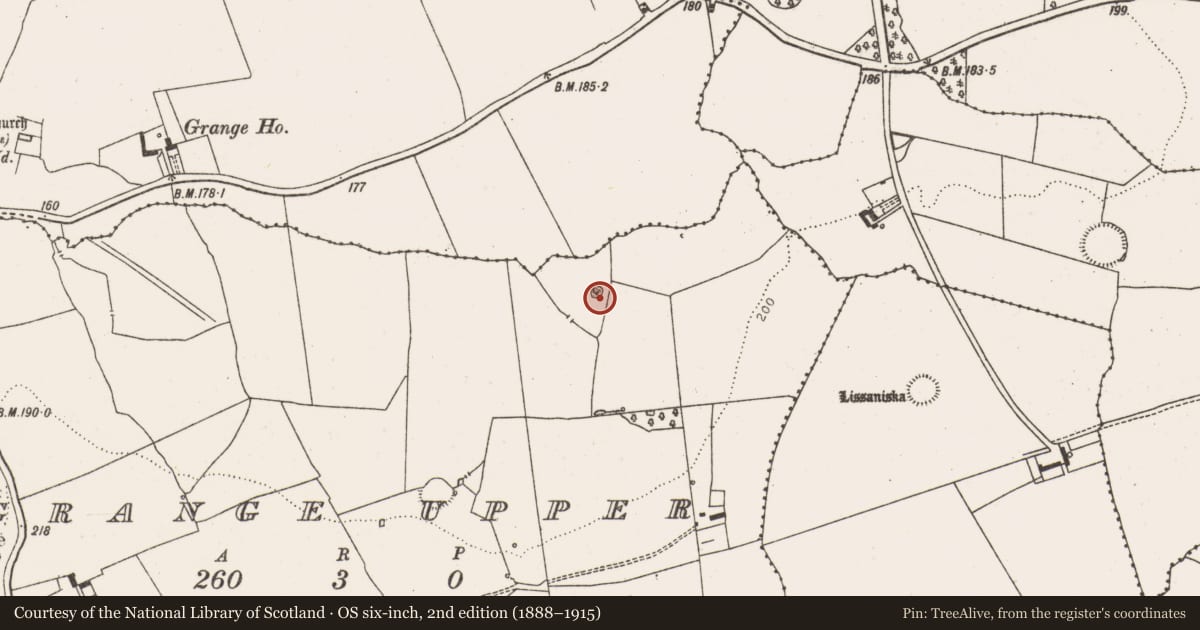 Ordnance Survey six-inch map, 2nd edition (1888–1915) covering the location of Designed landscape - tree-ring, Grange Upper, County Limerick, with a pin at the register's coordinates