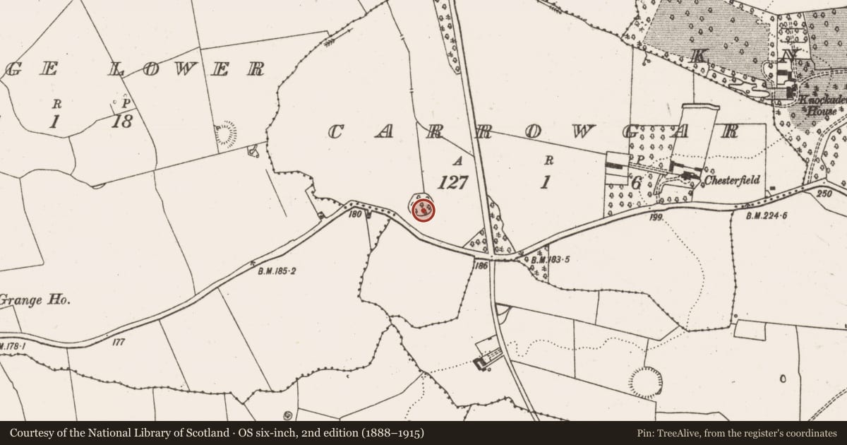 Ordnance Survey six-inch map, 2nd edition (1888–1915) covering the location of Ringfort - rath, Carrowgar, County Limerick, with a pin at the register's coordinates