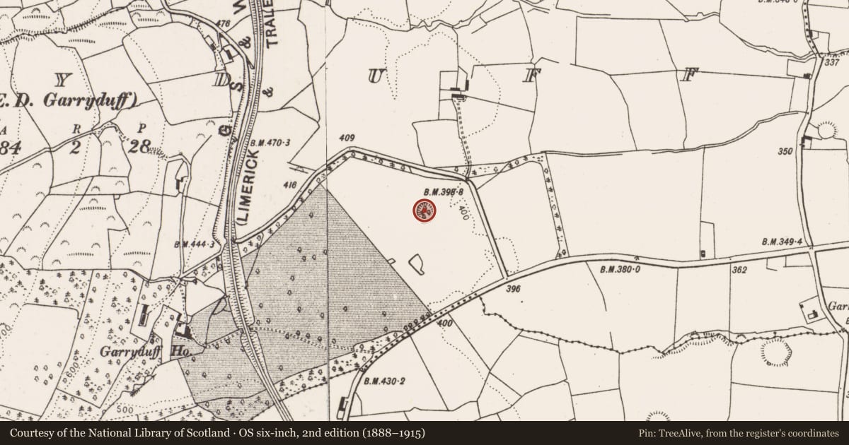 Ordnance Survey six-inch map, 2nd edition (1888–1915) covering the location of Ringfort - rath, Garryduff, County Limerick, with a pin at the register's coordinates