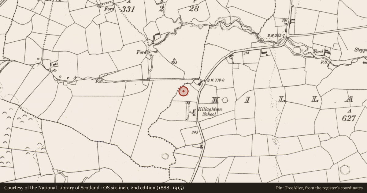 Ordnance Survey six-inch map, 2nd edition (1888–1915) covering the location of Ringfort - rath, Killaghteen, County Limerick, with a pin at the register's coordinates