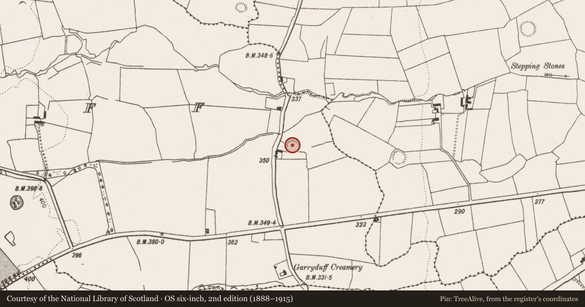 Ordnance Survey six-inch map, 2nd edition (1888–1915) covering the location of Ringfort - rath, Garryduff, County Limerick, with a pin at the register's coordinates