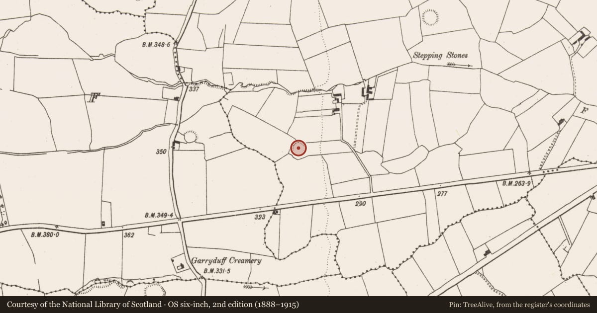 Ordnance Survey six-inch map, 2nd edition (1888–1915) covering the location of Ringfort - rath, Killaghteen, County Limerick, with a pin at the register's coordinates