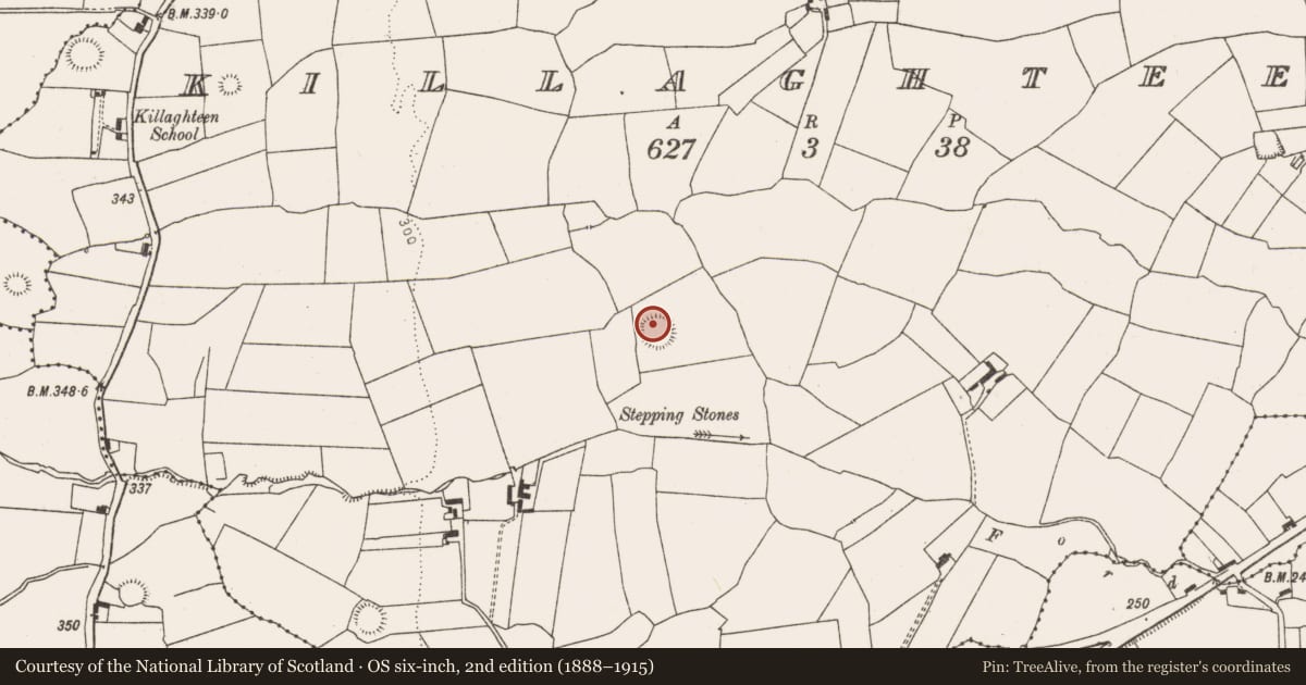 Ordnance Survey six-inch map, 2nd edition (1888–1915) covering the location of Ringfort - rath, Killaghteen, County Limerick, with a pin at the register's coordinates
