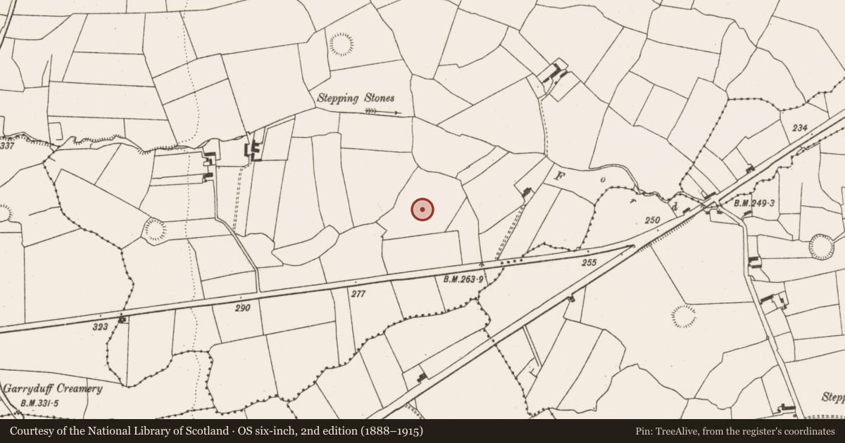 Ordnance Survey six-inch map, 2nd edition (1888–1915) covering the location of Ringfort - rath, Killaghteen, County Limerick, with a pin at the register's coordinates