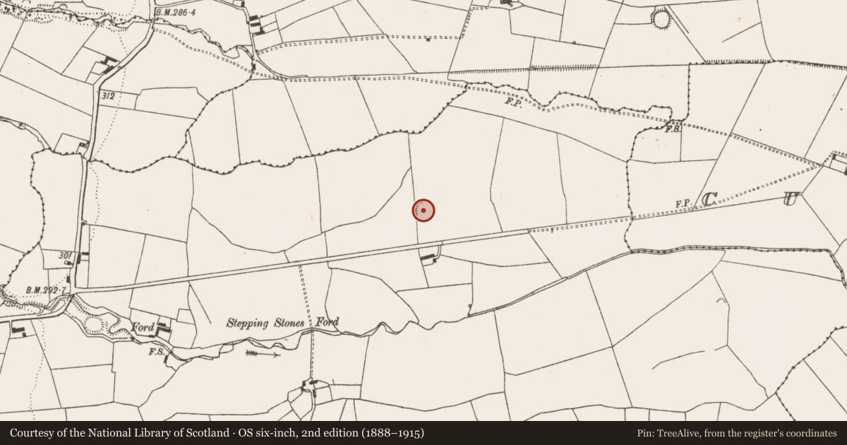 Ordnance Survey six-inch map, 2nd edition (1888–1915) covering the location of Ringfort - rath, Killaghteen, County Limerick, with a pin at the register's coordinates