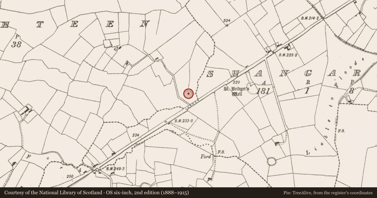 Ordnance Survey six-inch map, 2nd edition (1888–1915) covering the location of Ringfort - rath, Killaghteen, County Limerick, with a pin at the register's coordinates