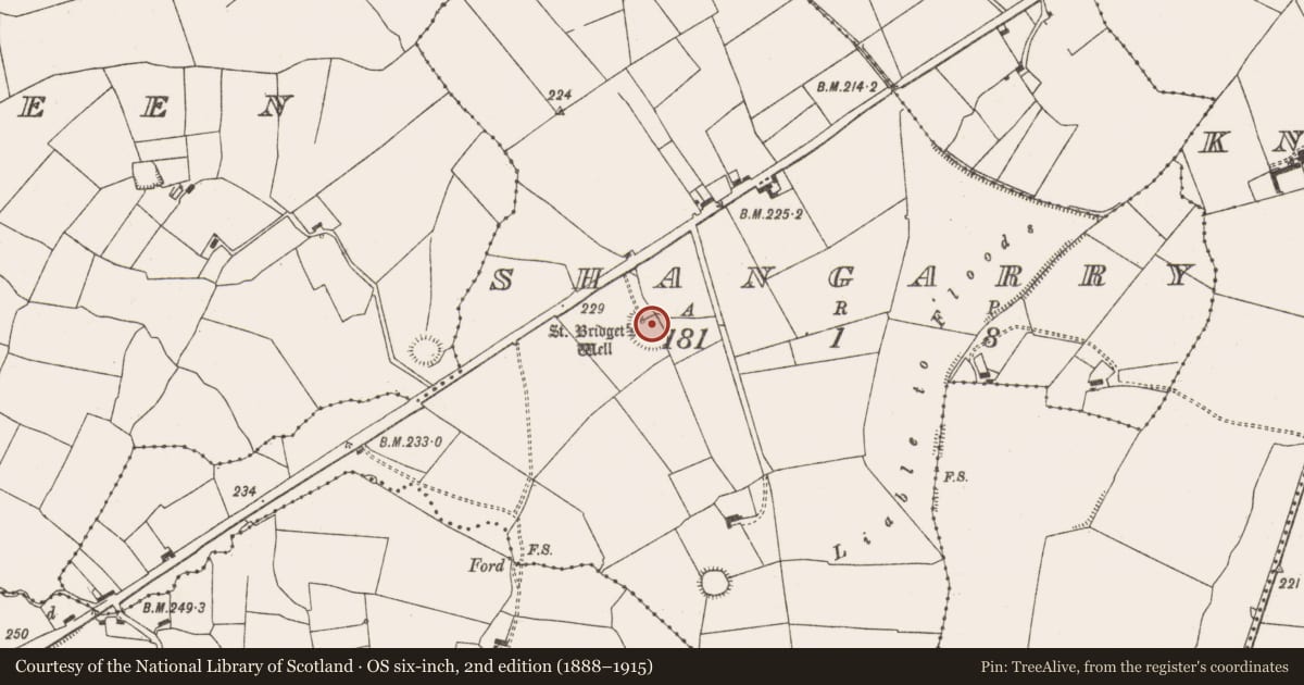 Ordnance Survey six-inch map, 2nd edition (1888–1915) covering the location of Ringfort - rath, Shangarry, County Limerick, with a pin at the register's coordinates