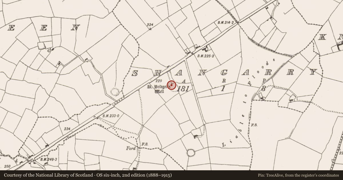 Ordnance Survey six-inch map, 2nd edition (1888–1915) covering the location of Ritual site - holy well, Shangarry, County Limerick, with a pin at the register's coordinates