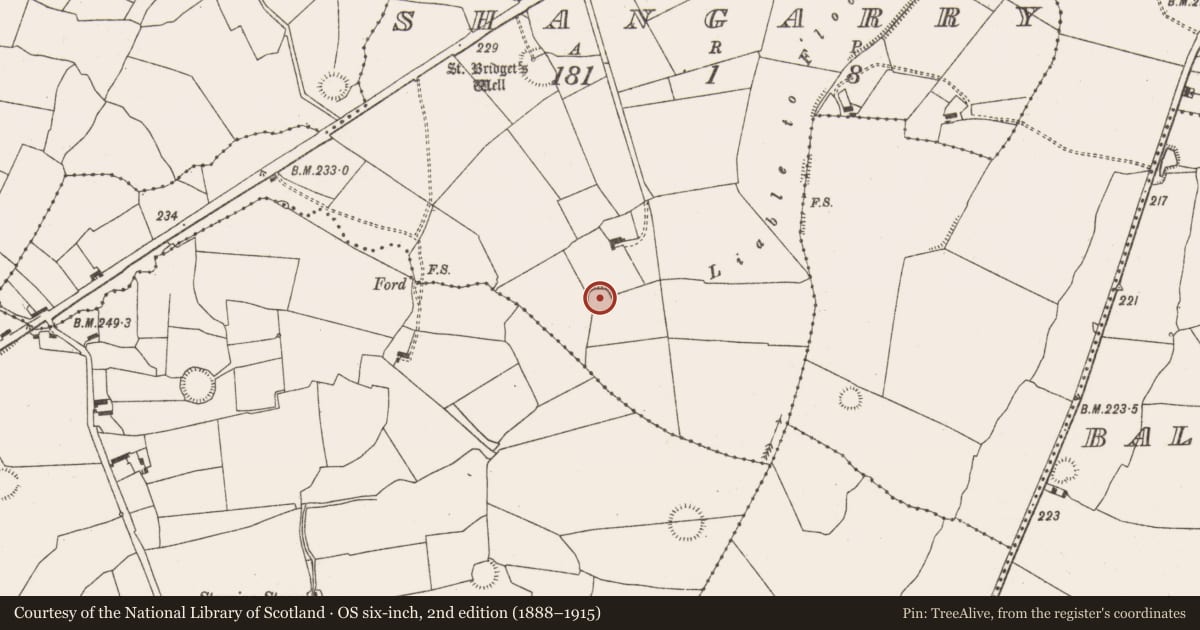 Ordnance Survey six-inch map, 2nd edition (1888–1915) covering the location of Ringfort - rath, Shangarry, County Limerick, with a pin at the register's coordinates