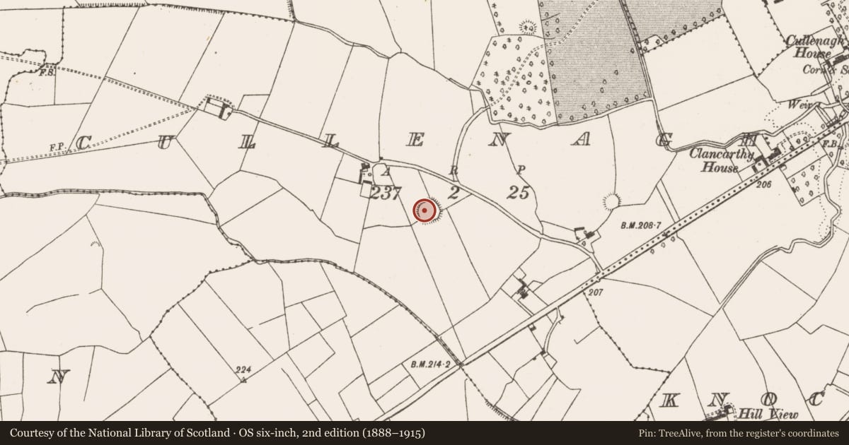 Ordnance Survey six-inch map, 2nd edition (1888–1915) covering the location of Ringfort - rath, Cullenagh, County Limerick, with a pin at the register's coordinates