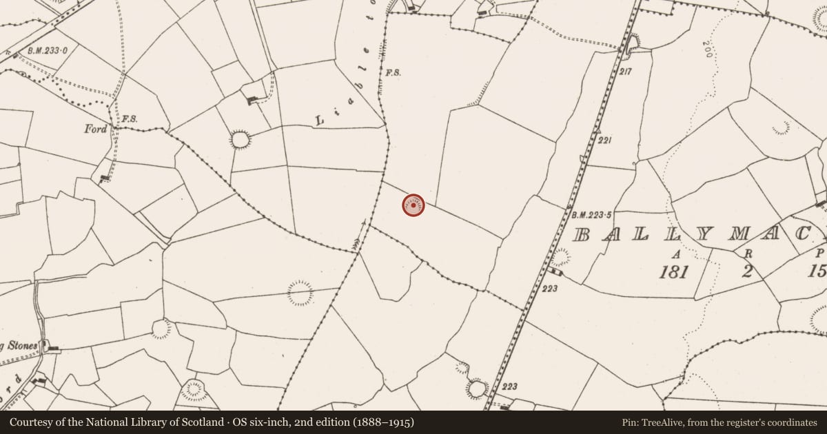 Ordnance Survey six-inch map, 2nd edition (1888–1915) covering the location of Ringfort - rath, Knockane, County Limerick, with a pin at the register's coordinates