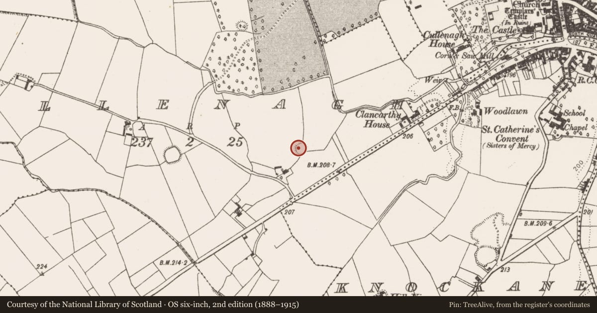 Ordnance Survey six-inch map, 2nd edition (1888–1915) covering the location of Ringfort - rath, Cullenagh, County Limerick, with a pin at the register's coordinates