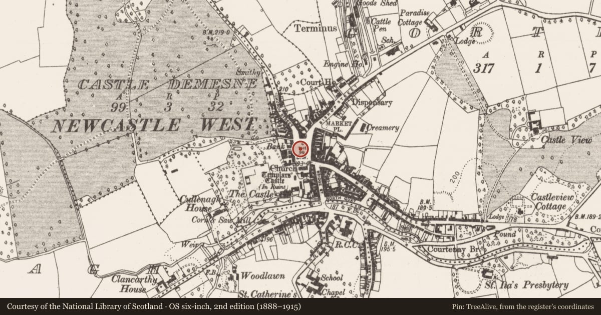 Ordnance Survey six-inch map, 2nd edition (1888–1915) covering the location of Historic town, County Limerick, with a pin at the register's coordinates
