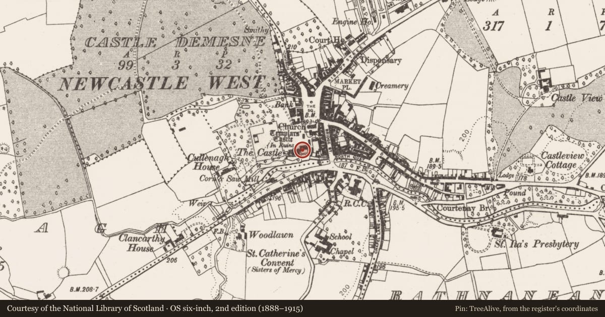 Ordnance Survey six-inch map, 2nd edition (1888–1915) covering the location of Castle - Anglo-Norman masonry castle, Castle Demesne, County Limerick, with a pin at the register's coordinates