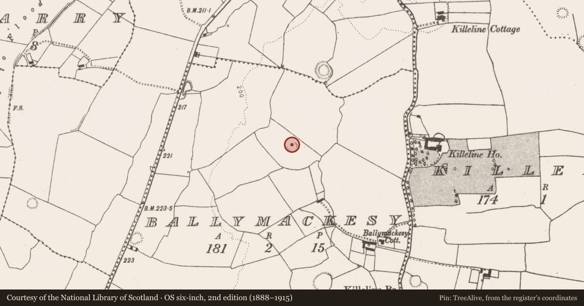 Ordnance Survey six-inch map, 2nd edition (1888–1915) covering the location of Ringfort - rath, Ballymackesy, County Limerick, with a pin at the register's coordinates