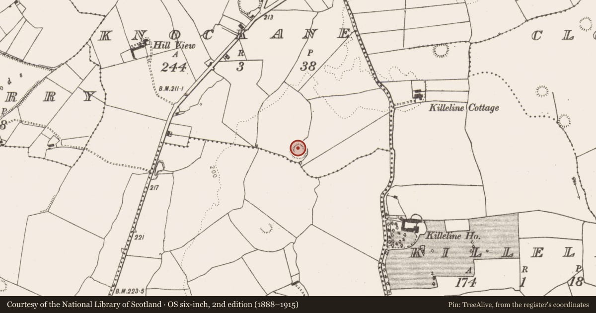 Ordnance Survey six-inch map, 2nd edition (1888–1915) covering the location of Ringfort - rath, Knockane, County Limerick, with a pin at the register's coordinates
