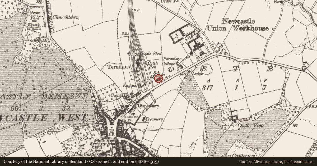 Ordnance Survey six-inch map, 2nd edition (1888–1915) covering the location of School, Gortboy, County Limerick, with a pin at the register's coordinates