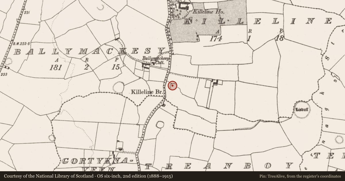 Ordnance Survey six-inch map, 2nd edition (1888–1915) covering the location of Ringfort - rath, Killeline, County Limerick, with a pin at the register's coordinates
