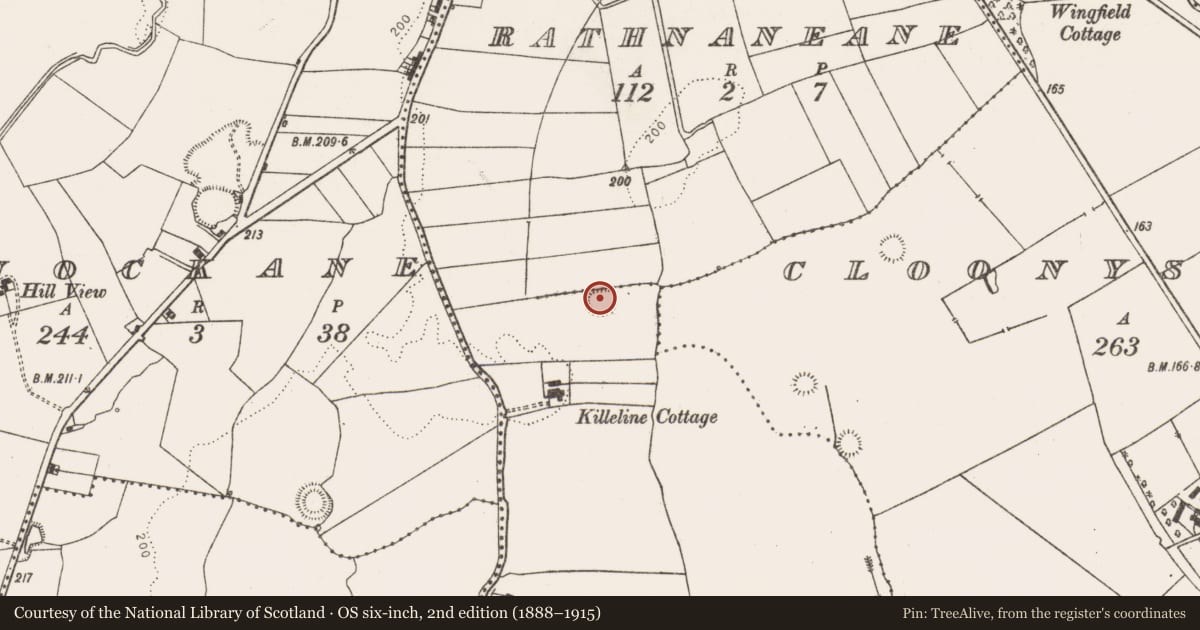 Ordnance Survey six-inch map, 2nd edition (1888–1915) covering the location of Ringfort - rath, Killeline, County Limerick, with a pin at the register's coordinates