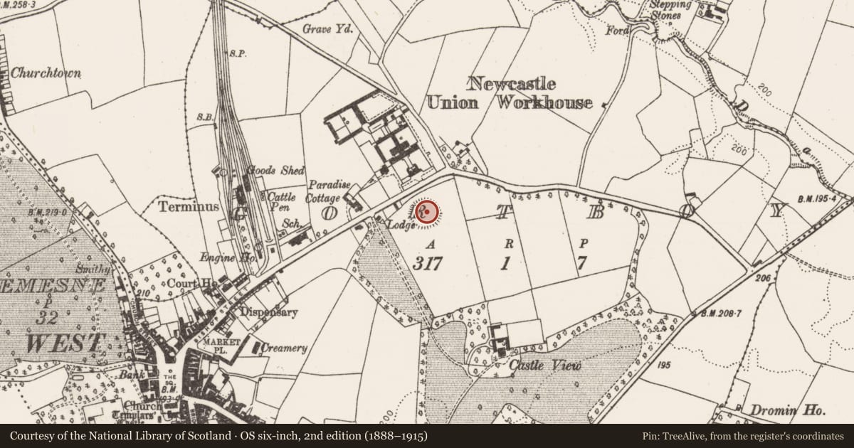Ordnance Survey six-inch map, 2nd edition (1888–1915) covering the location of Ringfort - rath, Gortboy, County Limerick, with a pin at the register's coordinates
