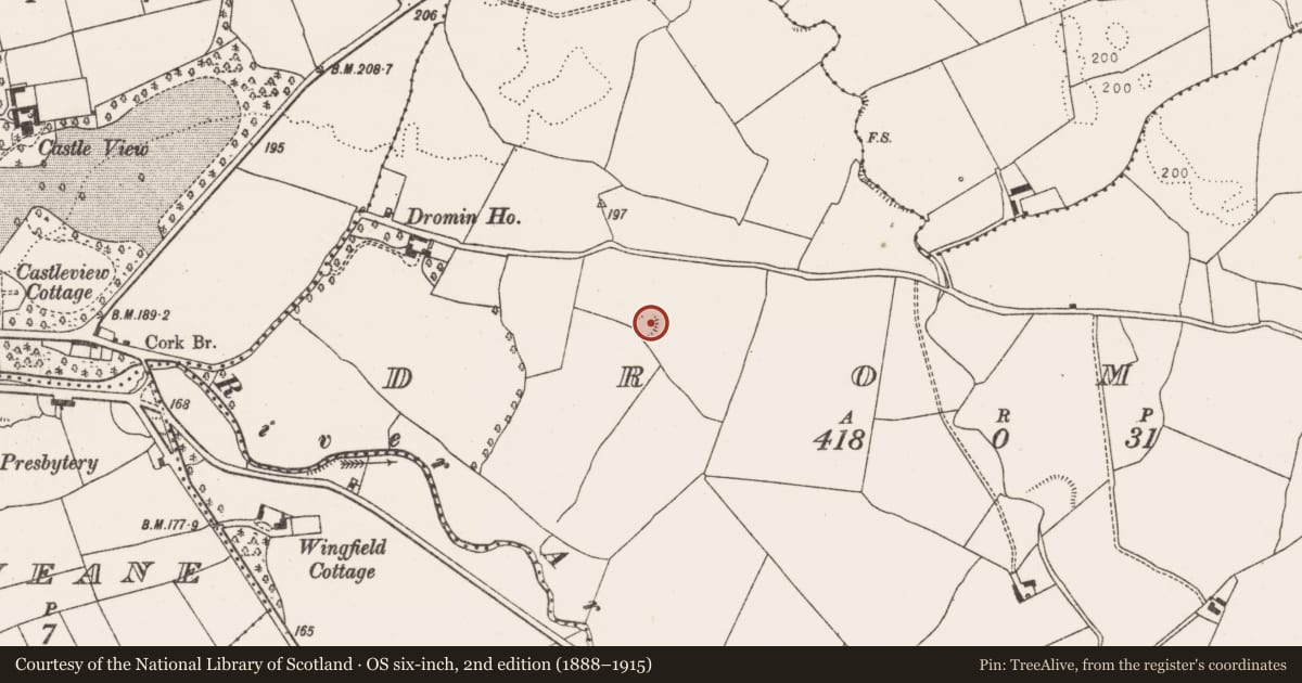 Ordnance Survey six-inch map, 2nd edition (1888–1915) covering the location of Ringfort - rath, Dromin, County Limerick, with a pin at the register's coordinates