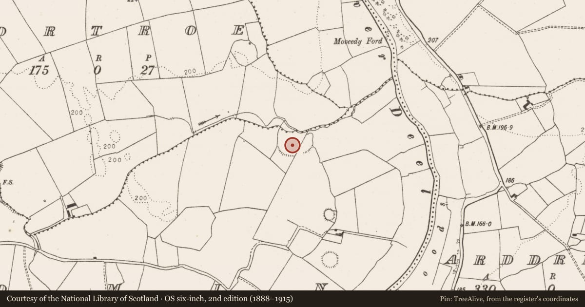 Ordnance Survey six-inch map, 2nd edition (1888–1915) covering the location of Enclosure, Dromin, County Limerick, with a pin at the register's coordinates