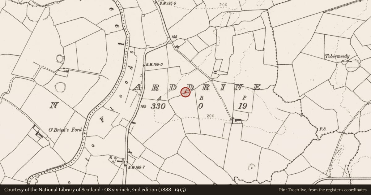 Ordnance Survey six-inch map, 2nd edition (1888–1915) covering the location of Ringfort - rath, Arddrine, County Limerick, with a pin at the register's coordinates