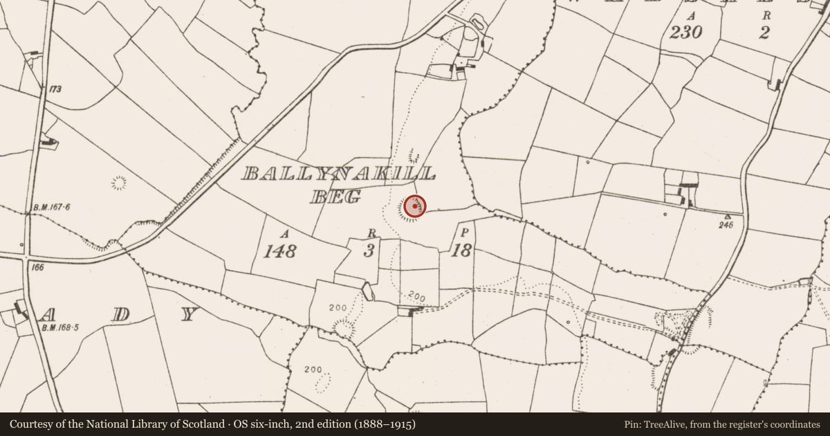 Ordnance Survey six-inch map, 2nd edition (1888–1915) covering the location of Ringfort - rath, Ballynakill Beg, County Limerick, with a pin at the register's coordinates