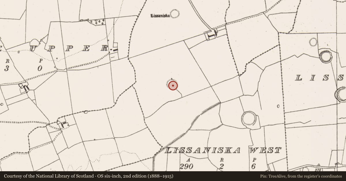 Ordnance Survey six-inch map, 2nd edition (1888–1915) covering the location of Ringfort - rath, Lissaniska West, County Limerick, with a pin at the register's coordinates