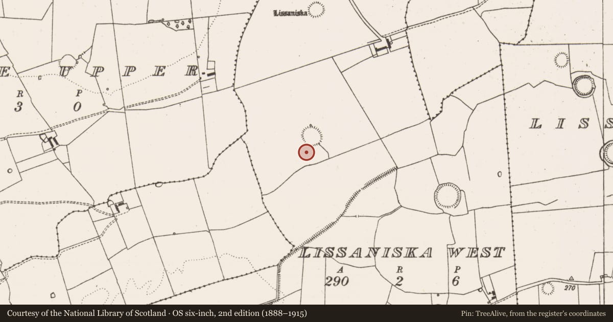Ordnance Survey six-inch map, 2nd edition (1888–1915) covering the location of Earthwork, Lissaniska West, County Limerick, with a pin at the register's coordinates
