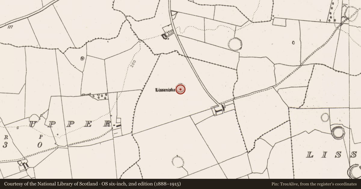 Ordnance Survey six-inch map, 2nd edition (1888–1915) covering the location of Ringfort - rath, Lissaniska West, County Limerick, with a pin at the register's coordinates