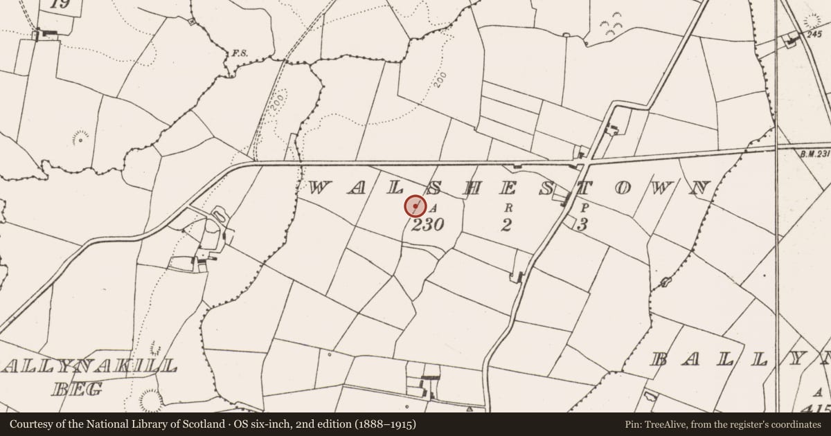 Ordnance Survey six-inch map, 2nd edition (1888–1915) covering the location of Enclosure, Walshestown, County Limerick, with a pin at the register's coordinates