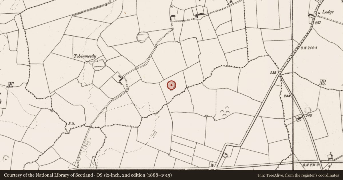 Ordnance Survey six-inch map, 2nd edition (1888–1915) covering the location of Ringfort - rath, Lissaniska West, County Limerick, with a pin at the register's coordinates