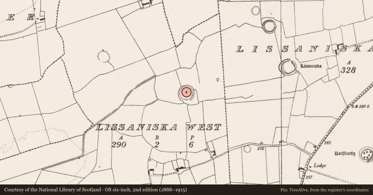 Ordnance Survey six-inch map, 2nd edition (1888–1915) covering the location of Ringfort - rath, Lissaniska West, County Limerick, with a pin at the register's coordinates