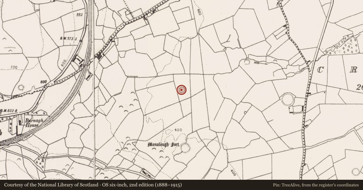 Ordnance Survey six-inch map, 2nd edition (1888–1915) covering the location of Ringfort - rath, Ballymurragh East, County Limerick, with a pin at the register's coordinates