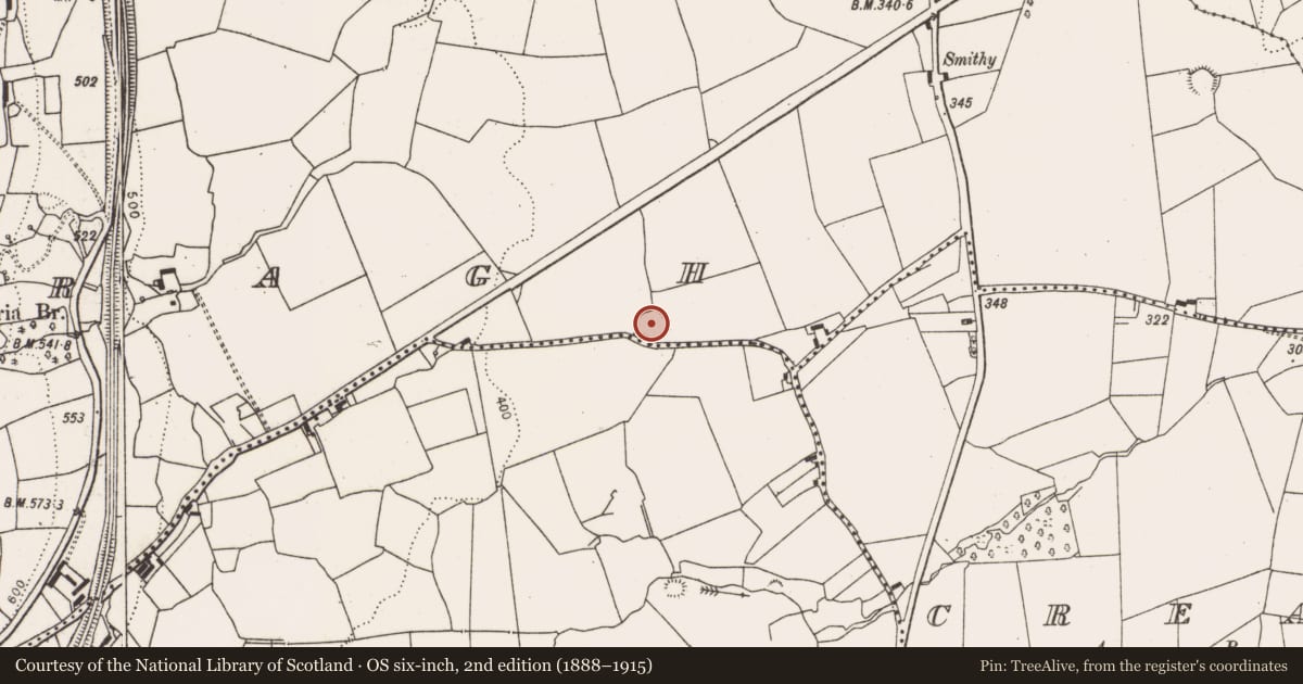 Ordnance Survey six-inch map, 2nd edition (1888–1915) covering the location of Ringfort - rath, Glendarragh, County Limerick, with a pin at the register's coordinates