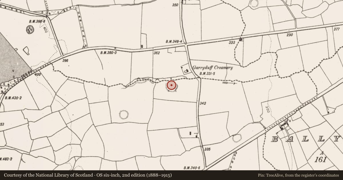 Ordnance Survey six-inch map, 2nd edition (1888–1915) covering the location of Ringfort - rath, Glendarragh, County Limerick, with a pin at the register's coordinates
