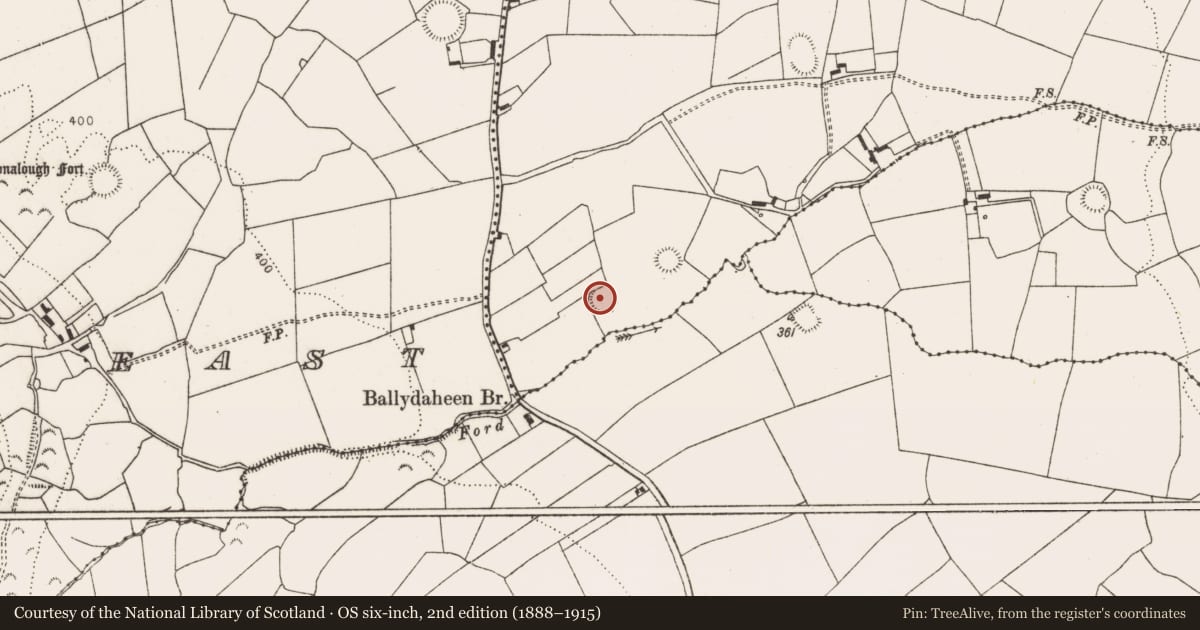 Ordnance Survey six-inch map, 2nd edition (1888–1915) covering the location of Ringfort - rath, Crean, County Limerick, with a pin at the register's coordinates