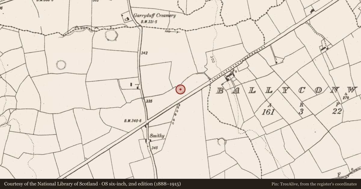 Ordnance Survey six-inch map, 2nd edition (1888–1915) covering the location of Ringfort - rath, Glendarragh, County Limerick, with a pin at the register's coordinates
