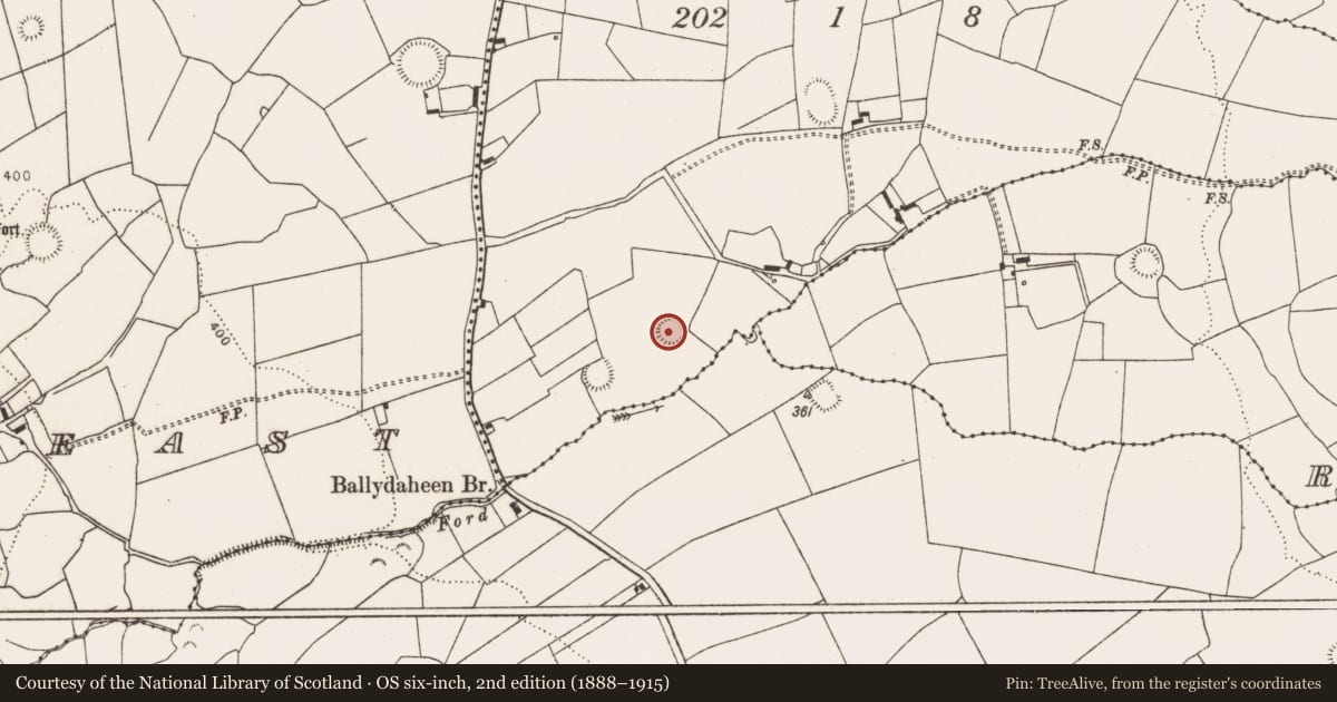 Ordnance Survey six-inch map, 2nd edition (1888–1915) covering the location of Ringfort - rath, Crean, County Limerick, with a pin at the register's coordinates
