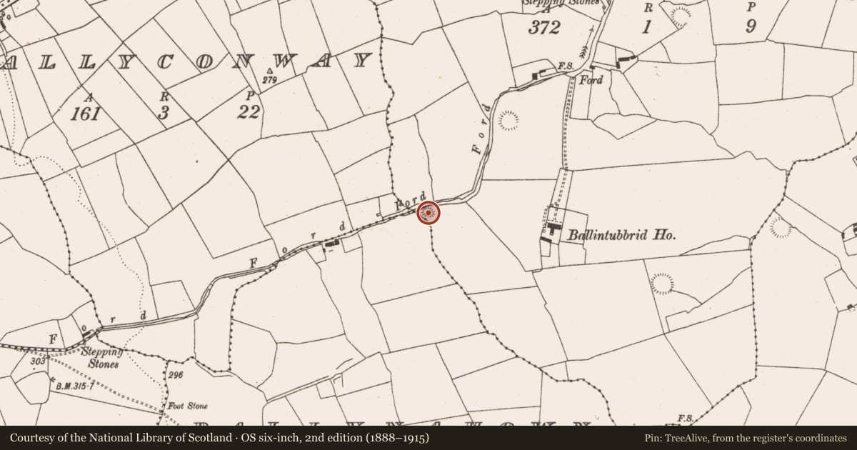 Ordnance Survey six-inch map, 2nd edition (1888–1915) covering the location of Ringfort - rath, Ballintubbrid, County Limerick, with a pin at the register's coordinates