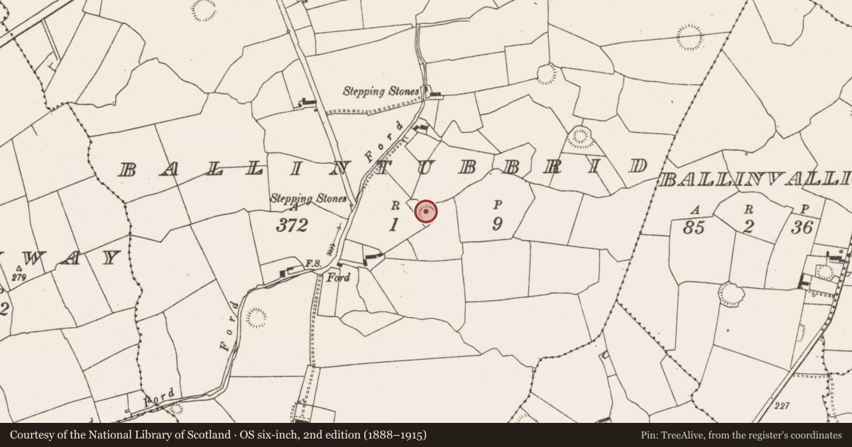 Ordnance Survey six-inch map, 2nd edition (1888–1915) covering the location of Ringfort - rath, Ballintubbrid, County Limerick, with a pin at the register's coordinates