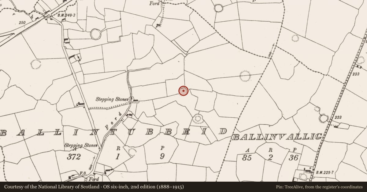 Ordnance Survey six-inch map, 2nd edition (1888–1915) covering the location of Ringfort - rath, Ballintubbrid, County Limerick, with a pin at the register's coordinates