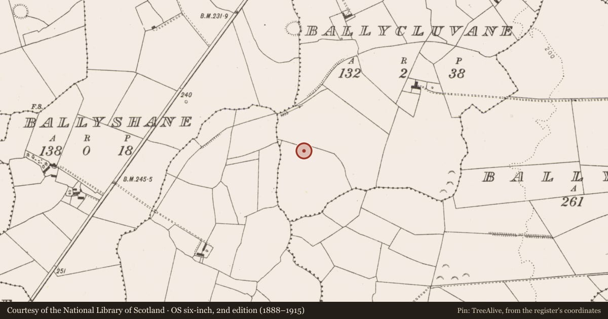 Ordnance Survey six-inch map, 2nd edition (1888–1915) covering the location of Ringfort - rath, Ballycluvane, County Limerick, with a pin at the register's coordinates