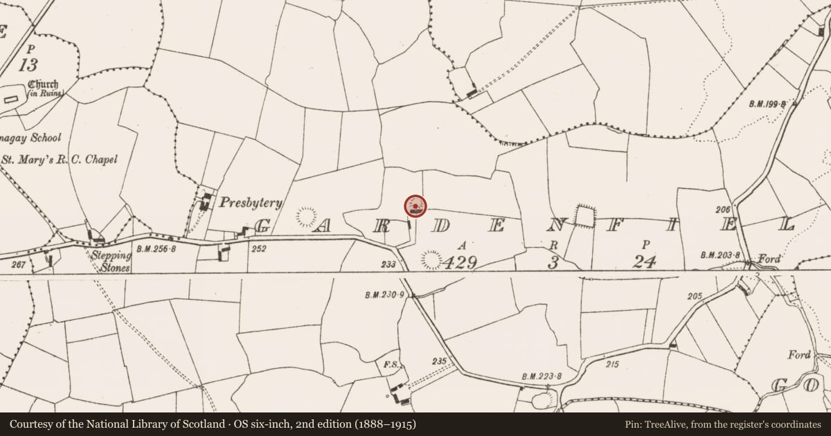 Ordnance Survey six-inch map, 2nd edition (1888–1915) covering the location of Ringfort - rath, Gardenfield, County Limerick, with a pin at the register's coordinates