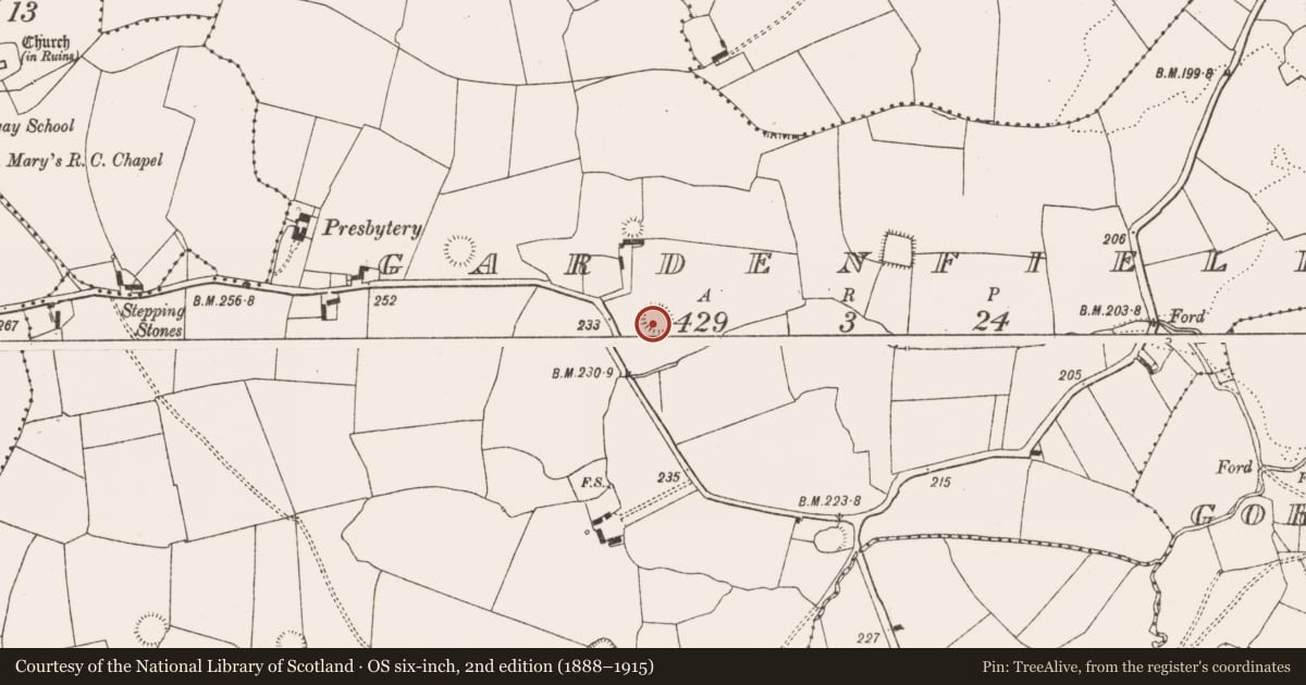 Ordnance Survey six-inch map, 2nd edition (1888–1915) covering the location of Ringfort - rath, Gardenfield, County Limerick, with a pin at the register's coordinates